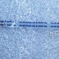 FFC шлейф 6 pin прямой, шаг 1.0 mm, длина 400 mm HP 23,0" 1920x1080 L2306X